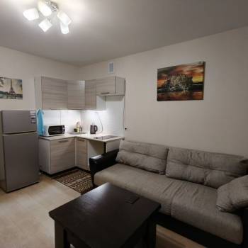 Сдается 1-комнатная квартира, 21 м²