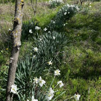 Продается Участок, 460 м²