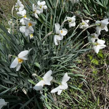 Продается Участок, 460 м²