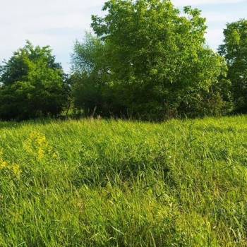 Продается Участок, 1000 м²