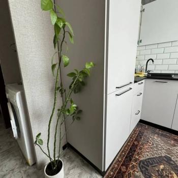 Продается 1-комнатная квартира, 29,3 м²