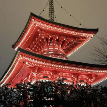 Сдается Многокомнатная квартира, 85 м²