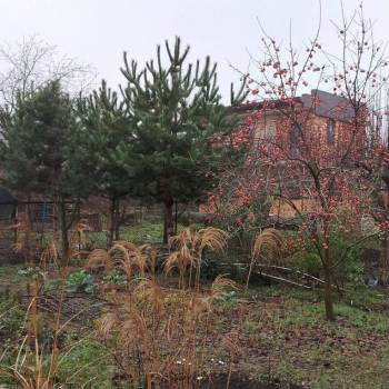 Продается Участок, 400 м²