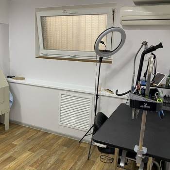 Сдается Нежилое помещение, 19,4 м²