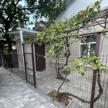 Сдается Дом, 50 м²