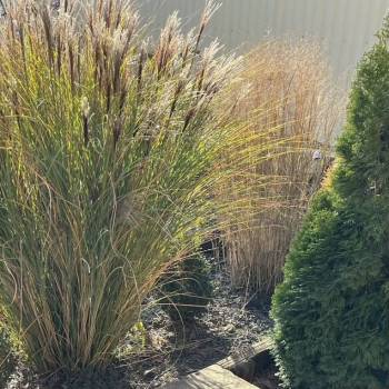 Продается Дом, 160 м²