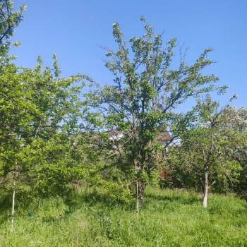 Продается Дом, 43 м²