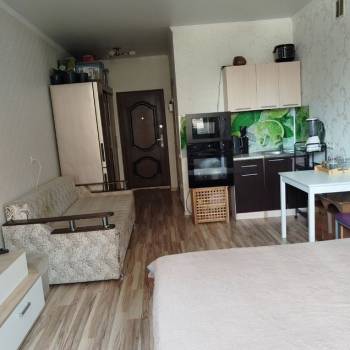 Продается 1-комнатная квартира, 24,6 м²