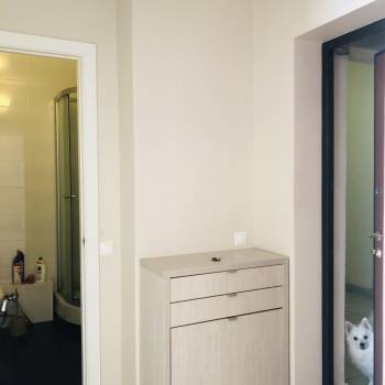 Сдается 1-комнатная квартира, 35 м²