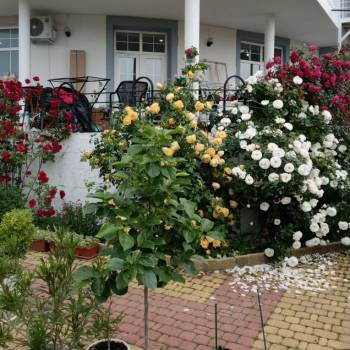 Продается Дом, 407 м²