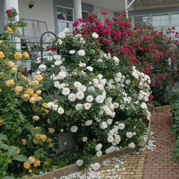 Продается Дом, 407 м²