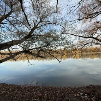 Продается Участок, 1200 м²