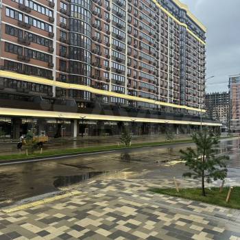 Продается 1-комнатная квартира, 24,4 м²