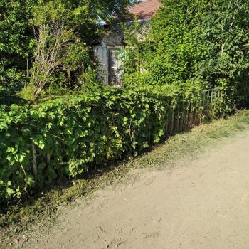 Продается Дом, 15 м²