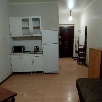 Сдается 1-комнатная квартира, 24,5 м²