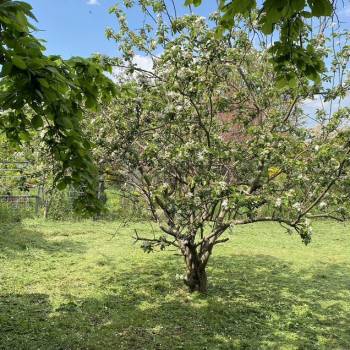 Продается Участок, 400 м²