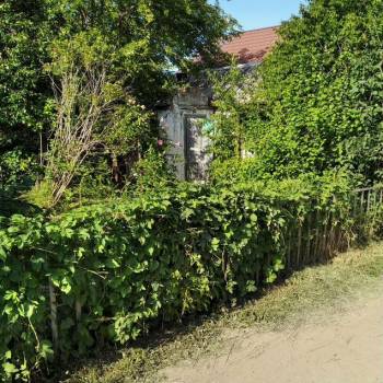 Продается Участок, 560 м²