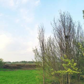 Продается Участок, 800 м²