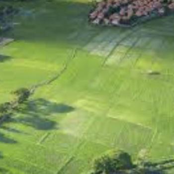 Продается Участок, 1000 м²