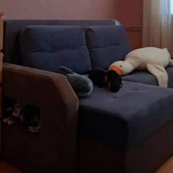 Продается Дом, 231 м²