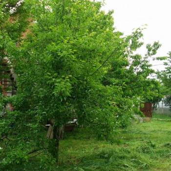 Продается Дом, 60 м²