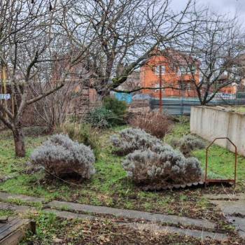 Продается Участок, 620 м²