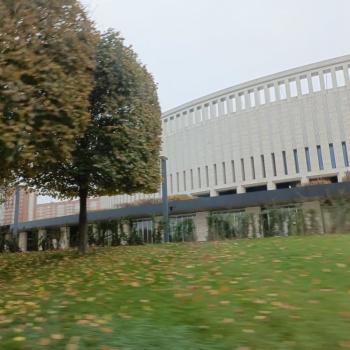 Сдается 2-х комнатная квартира, 46 м²