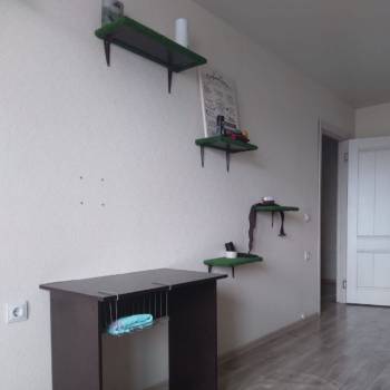 Сдается 2-х комнатная квартира, 42 м²