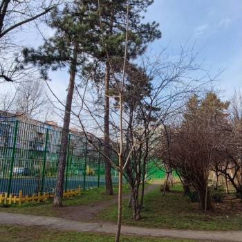 Продается 2-х комнатная квартира, 43,5 м²