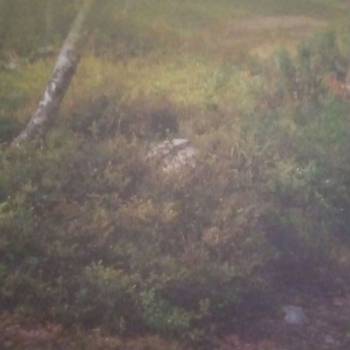 Продается Участок, 400 м²