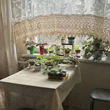 Продается 2-х комнатная квартира, 49,2 м²