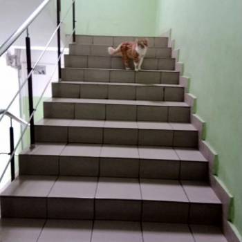 Продается 1-комнатная квартира, 21,9 м²