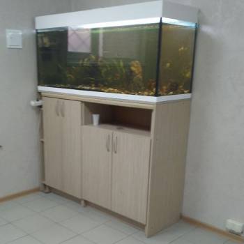 Сдается Нежилое помещение, 31 м²