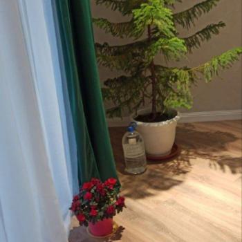 Продается Дом, 100 м²