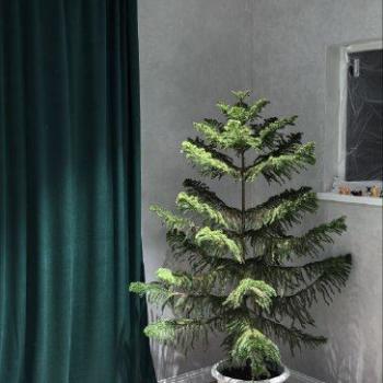 Продается Дом, 100 м²