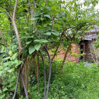 Продается Дом, 48 м²