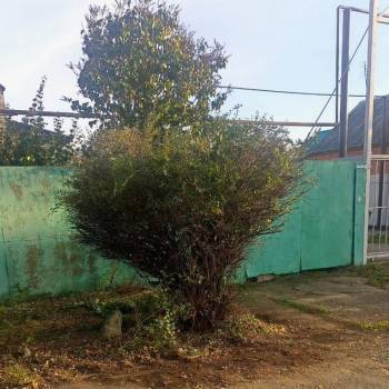 Продается Дом, 56 м²