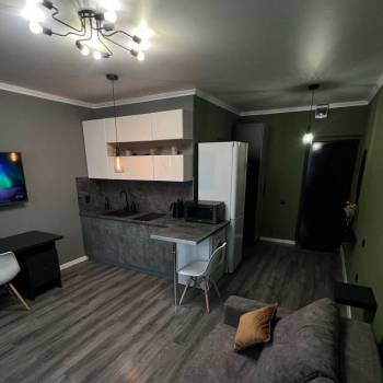 Сдается 1-комнатная квартира, 23,4 м²