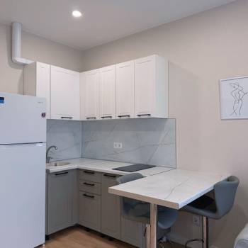 Сдается 1-комнатная квартира, 25,9 м²