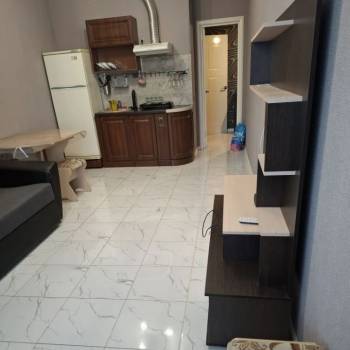 Сдается 1-комнатная квартира, 26,3 м²