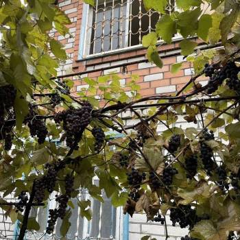 Продается Дом, 70 м²