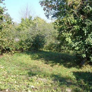 Продается Участок, 390 м²