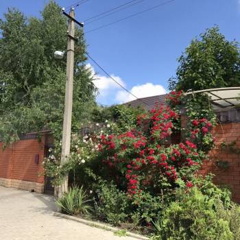 Сдается Дом, 140 м²