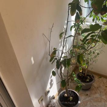 Продается 1-комнатная квартира, 44 м²