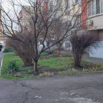 Сдается Нежилое помещение, 19,6 м²