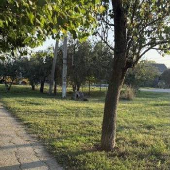 Продается Участок, 600 м²