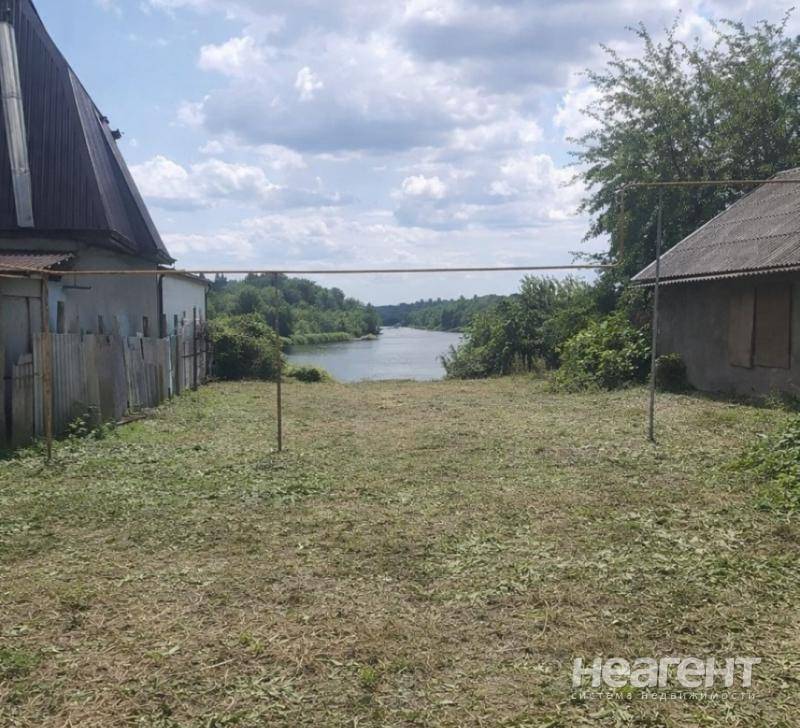 Фотография №2