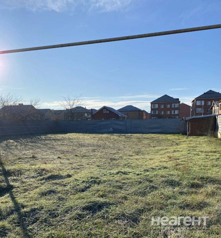 Фотография №2