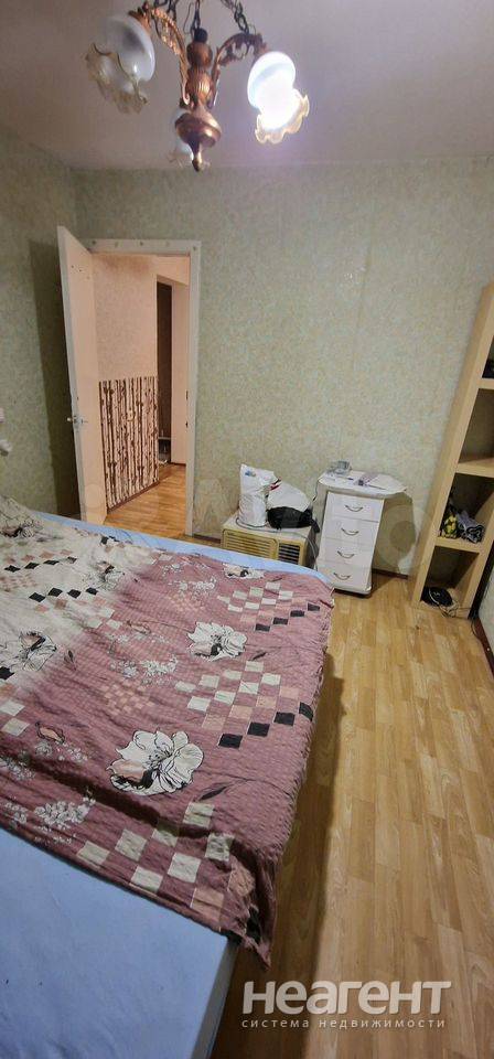 Фотография №2