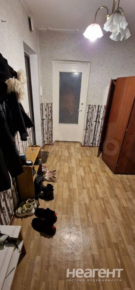 Фотография №3